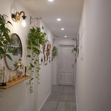 ゲストハウス Maison Etoile 4*